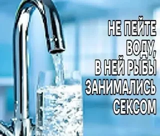 Telegram sticker 🌟 Здесь рандомная хуйня