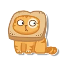 Telegram sticker 😐 persik _the_cat