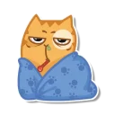 Sticker 😖 persik _the_cat