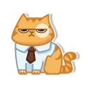 Video sticker 😐 persik _the_cat