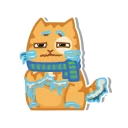 Telegram sticker 😖 persik _the_cat