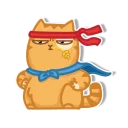 Telegram sticker 😑 persik _the_cat