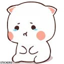 Video sticker 🥺 @stjckers شماره مجازی ارزان👉🏼 @Majazinoo_accbot