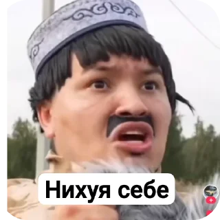 Video sticker 🖼 Батёчек