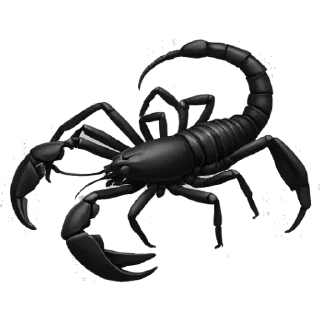 Sticker 🖤 BlackShit by @EnglishTESTx