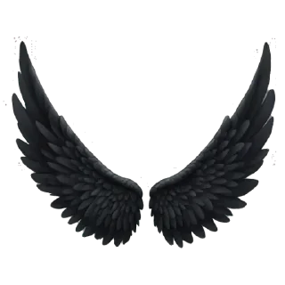 Video sticker 🖤 BlackShit by @EnglishTESTx