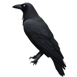 Телеграм стикер 🖤 BlackShit by @EnglishTESTx