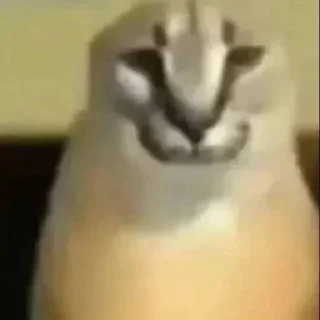 Telegram sticker 😶 QaherZone @S7_5BOT