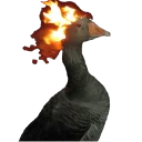 Telegram stiker 🌚 kato0909 pack 1