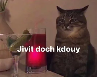 Telegram sticker 😑 Cat Kdouy Stickers