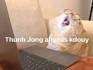 Telegram sticker 😫 Cat Kdouy Stickers