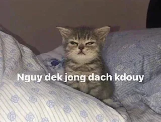 Telegram sticker 😴 Cat Kdouy Stickers