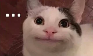 Telegram sticker 🙂 Cat Kdouy Stickers