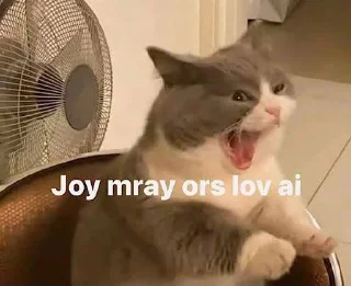 Video sticker 😡 Cat Kdouy Stickers