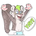 Video sticker 👍 Timidi