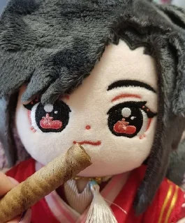 Video sticker 🌟 hualian fr @huameily :: @fStikBot