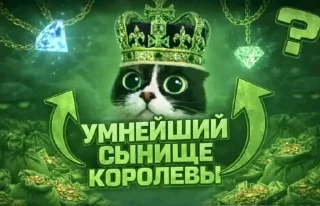 Video sticker 🤩 Больше стиков тут: @stikery4