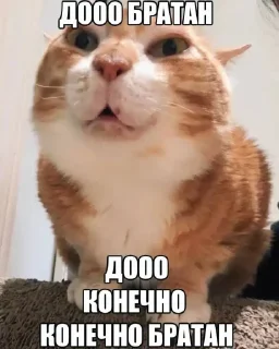 Telegram sticker 🤩 Больше стиков тут: @stikery4