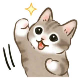 Video sticker 🐱 Cat life @StickersPackRobot