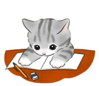 Telegram sticker 🐱 Cat life @StickersPackRobot