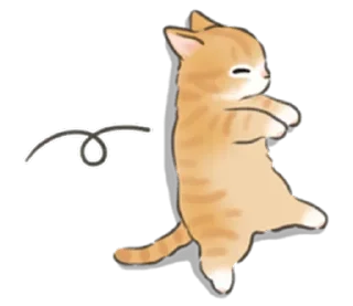 Telegram sticker 🐱 Cat life @StickersPackRobot