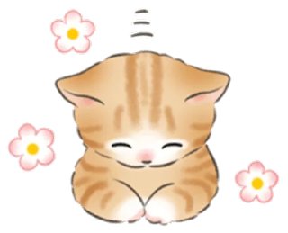 Telegram sticker 🐱 Cat life @StickersPackRobot