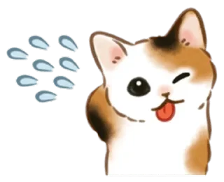 Telegram sticker 🐱 Cat life @StickersPackRobot