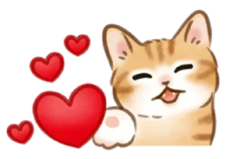 Video sticker 🐱 Cat life @StickersPackRobot