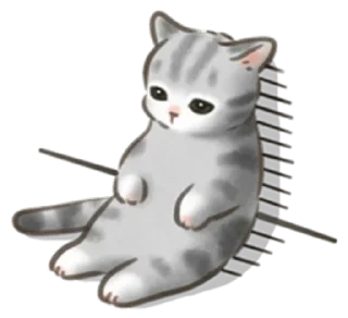 Video sticker 🐱 Cat life @StickersPackRobot