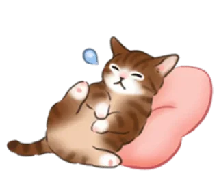 Sticker 🐱 Cat life @StickersPackRobot