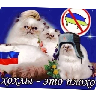 Telegram sticker 👍 ГАЗВАГЕН ПИДОРАС ГАЗВАГЕН ГАЗВАГЕН ПИДОРАС