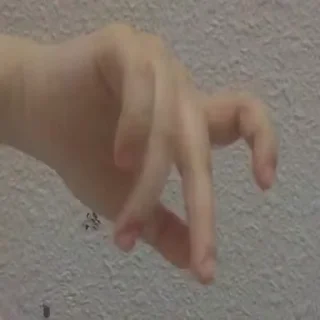 Video sticker 🚫 @C88I3 𓏺 • 𝐋𝐚𝐫𝐢𝐧 𓏺  @eei_5o