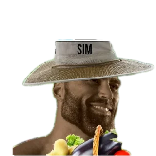 Telegram sticker 🎩 Nivel99