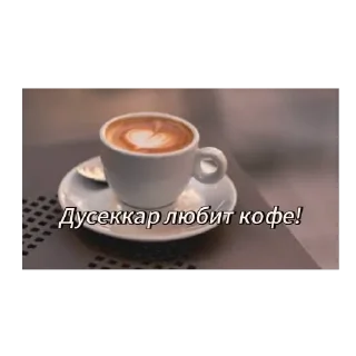 Video sticker 🫥 Фимоз дуськи