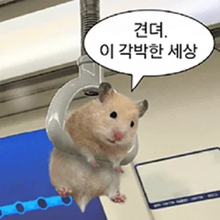 Telegram sticker ⭐ 거친 세상을 살아가는 햄스터 @moe_sticker_bot