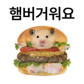 Video sticker ⭐ 거친 세상을 살아가는 햄스터 @moe_sticker_bot