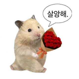 Telegram sticker ⭐ 거친 세상을 살아가는 햄스터 @moe_sticker_bot