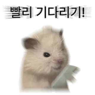 Sticker ⭐ 거친 세상을 살아가는 햄스터 @moe_sticker_bot