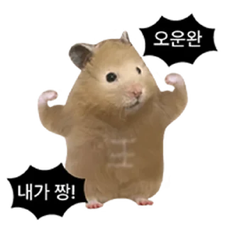 Telegram sticker ⭐ 거친 세상을 살아가는 햄스터 @moe_sticker_bot