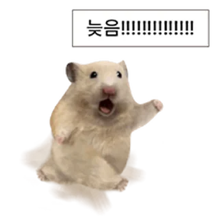 Video sticker ⭐ 거친 세상을 살아가는 햄스터 @moe_sticker_bot