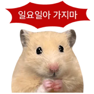 Video sticker ⭐ 거친 세상을 살아가는 햄스터 @moe_sticker_bot