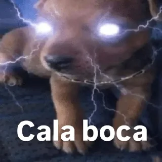 Video sticker 🌟 Cachorro-se :: @fStikBot