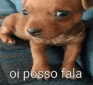 Sticker 🌟 Cachorro-se :: @fStikBot