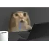 Video sticker 🌟 далбаебы :...