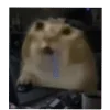 Video sticker 👍 далбаебы :...