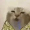 Video sticker 🌟 далбаебы :...