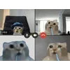 Video sticker 🌟 далбаебы :...