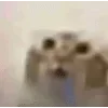 Video sticker 🌟 далбаебы :...