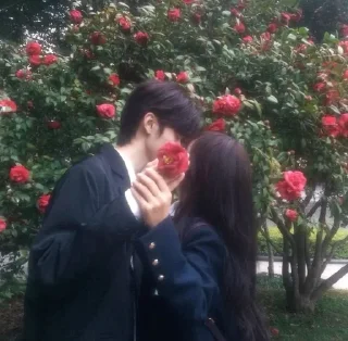 Video sticker 🎀 𔘓𝐂𝖔𝖚𝖕𝖑𝖊𝖘<🎀‧₊˚ @S3X_SEX °