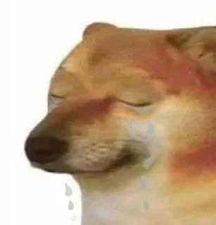 Telegram sticker 🙋 Hussein @SticZ_Bot • @aljoker_z_e